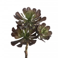 ARTIFICIAL PLANT SUCCULENT GREY GREEN - DECO FLOWER